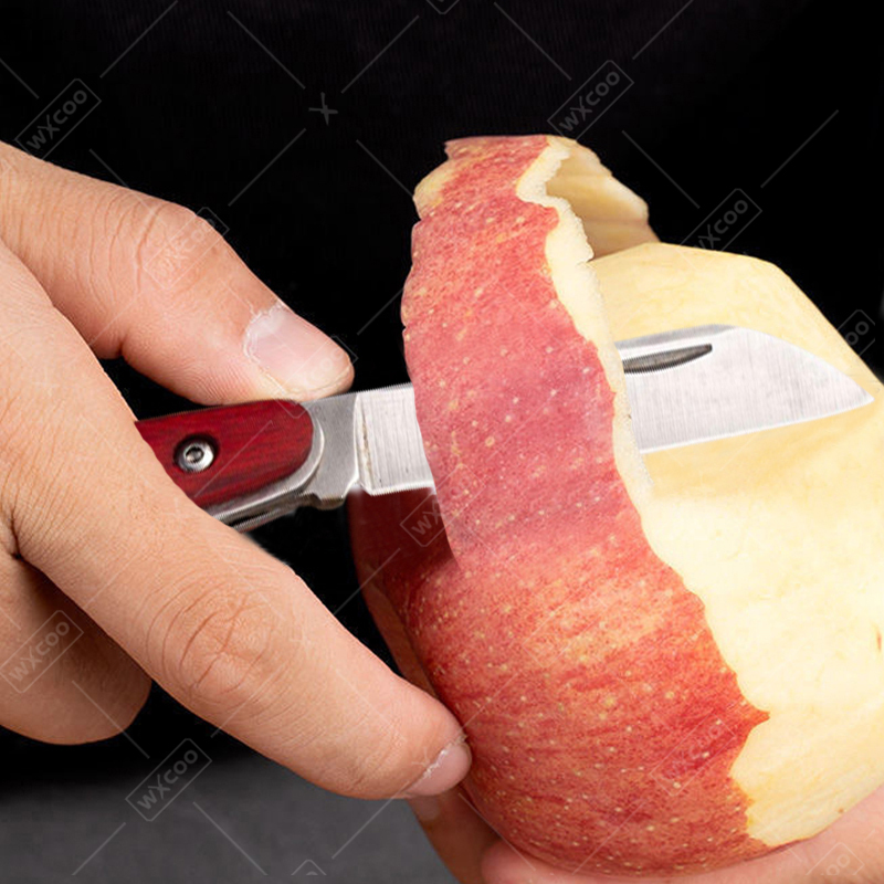 Roestvrijstalen zakmes Palissa - Kitchen Gadgets Latest recensie en prijs