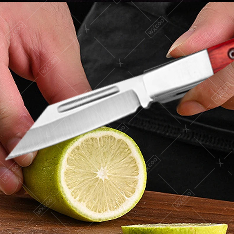 Roestvrijstalen zakmes Palissa - Kitchen Gadgets Latest recensie en prijs